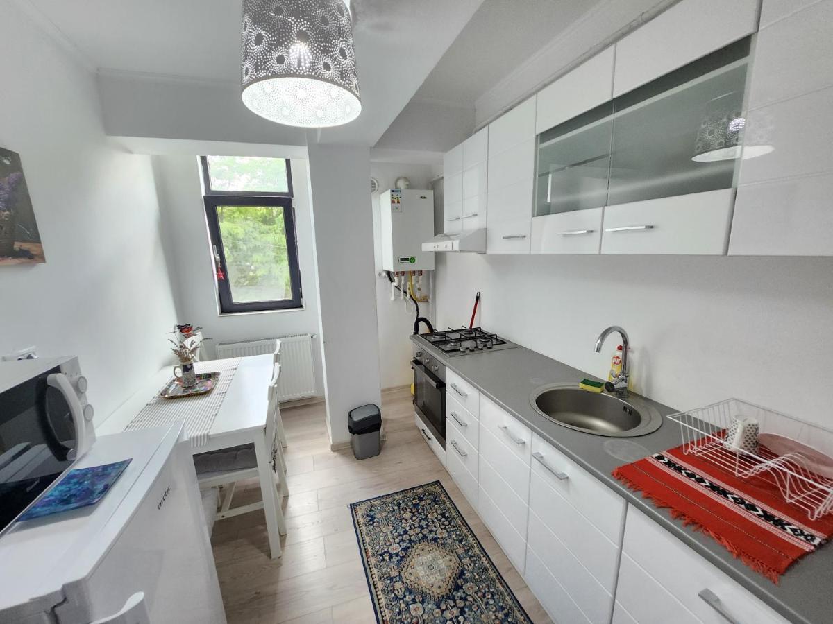 New House In Ultra Center Near Iulius & Palas Mall Ясси Екстер'єр фото