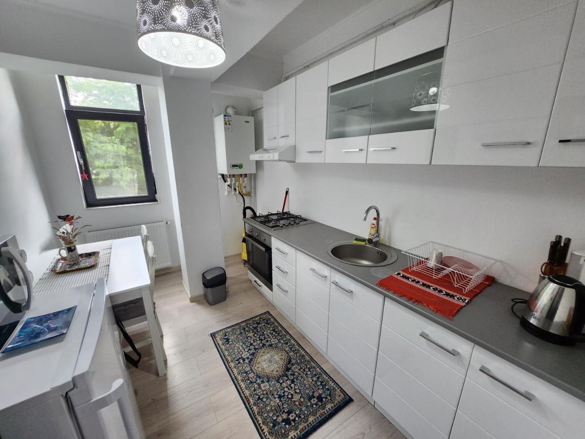 New House In Ultra Center Near Iulius & Palas Mall Ясси Екстер'єр фото